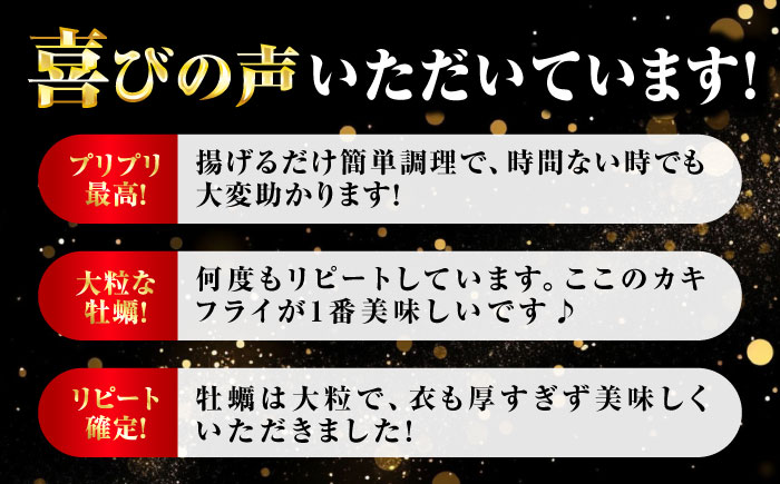 【年内発送】テレビで話題！鍛え牡蠣 冷凍かきフライ 20粒×3袋 江田島市/有限会社寺本水産 [XAE017]