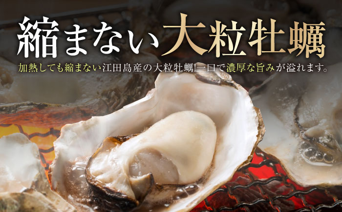 テレビで話題！レンジで簡単鍛え牡蠣 殻付き 牡蠣 3個入×4袋（瞬間冷凍）人気 海鮮 簡単 レシピ ギフト 広島県産 江田島市/有限会社寺本水産 [XAE065]