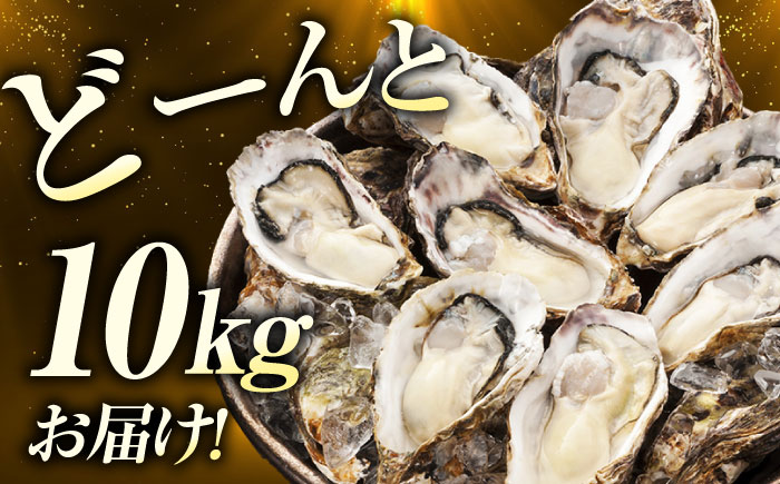 テレビで話題！ (瞬間冷凍) 江田島牡蠣 殻付き 10kg 人気 海鮮 BBQ 簡単 レシピ ギフト 広島県産 江田島市/有限会社寺本水産 [XAE067]
