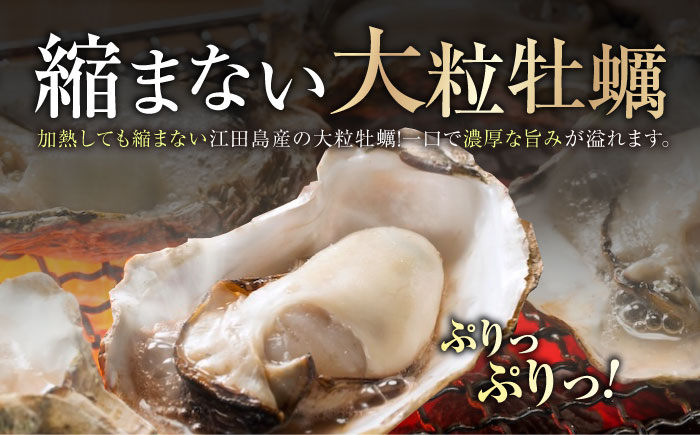 【訳あり】賞味期限間近！鍛え牡蠣 冷凍むき身 Mサイズ 計2.4kg 江田島市/有限会社寺本水産 [XAE070] 牡蠣 かき カキ 人気 海鮮 BBQ 簡単 レシピ ギフト