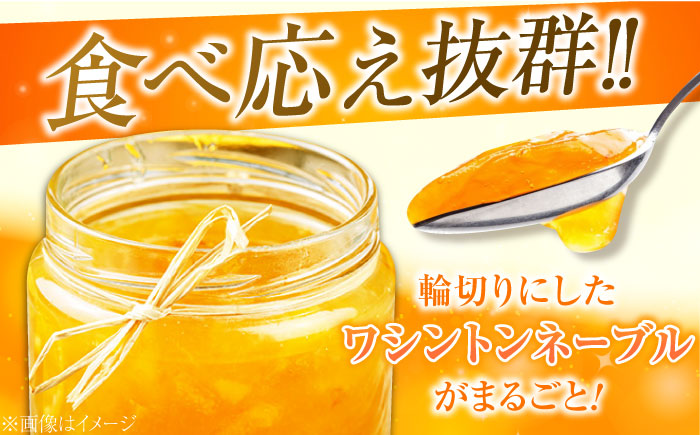 人気のお土産！リピート率ナンバーワン！中下農園の『ネーブルマーマレード』（箱入り・大2個）　みかん 果物 マーマレード ママレード ジャム パン 広島県産 江田島市/江田島市観光協会 [XAI006]