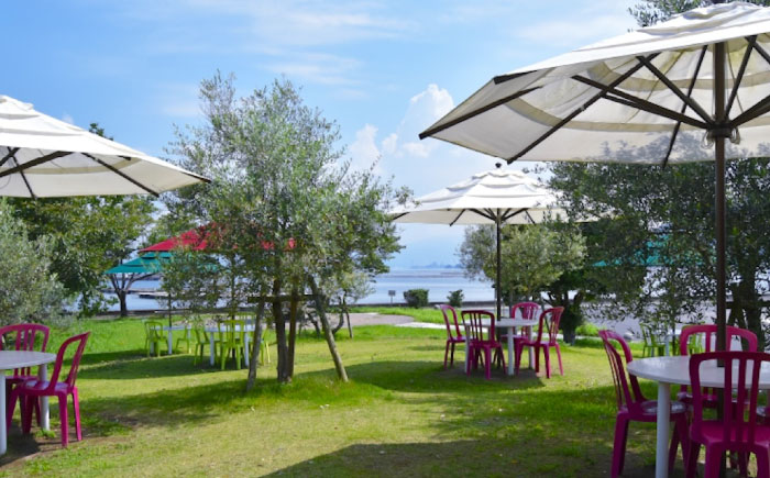 絶品オリーブオイルを江田島で！ 『江田島オリーブファクトリー』 商品券 5000円分（1000円分×5枚） オリーブオイル ドレッシング 食用油 ギフト 簡単 レシピ 国産 広島県産 江田島市/リベラグループ株式会社 [XAJ095] オリーブオイル