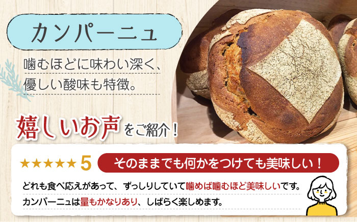 【11月中旬～5月頃まで順次発送】「石窯パン詰め合わせAセット」とEVオリーブオイル「能美島ブレンド マイルド100ml」セット パン オリーブオイル 油 朝食 おやつ 江田島市/しまのぱんsouda！ [XAQ016] パン・麺