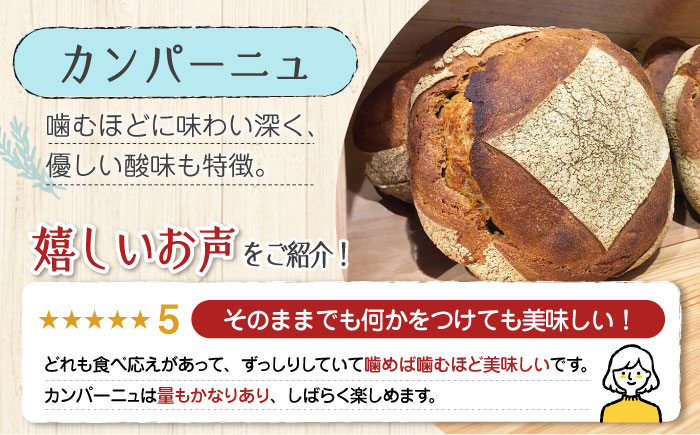 【11月中旬～5月頃まで順次発送】「石窯パン詰め合わせAセット」とEVオリーブオイル「江田島ブレンド ストロング100ml」セット パン オリーブオイル 油 朝食 おやつ 江田島市/しまのぱんsouda！ [XAQ018] パン・麺