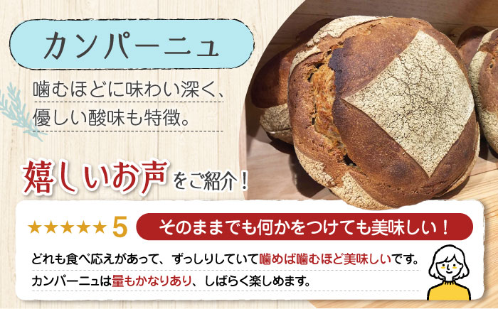 【11月中旬～5月頃まで順次発送】「石窯パン詰め合わせBセット」とEVオリーブオイル「江田島ブレンドミディアム100ml」セット パン オリーブオイル 油 朝食 おやつ 江田島市/しまのぱんsouda！ [XAQ020] パン・麺