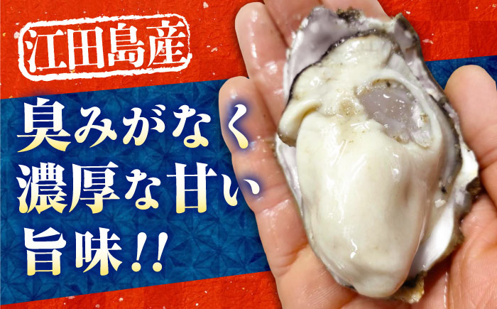 牡蠣 生食 むき身 かき カキ すぐに使える！【生牡蠣】【1月発送】かきうちの 牡蠣 むき身 2kg かき 海鮮 和食 新鮮 簡単 レシピ 広島県産 江田島市/株式会社かきうち [XBK017]