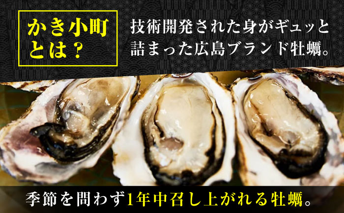 広島牡蠣の老舗！安心・安全の新鮮牡蠣【生牡蠣】牡蠣 かき 殻付き 開殻 夏のかき ハーフシェル『かき小町』12個入 生食用 魚介類 海鮮 広島県産 江田島市/株式会社かなわ [XBP013] 牡蠣