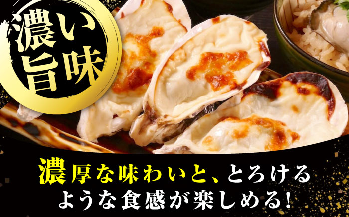 【年内発送】【お歳暮対象】牡蠣 冷凍 かき カキ 広島牡蠣の老舗！安心・安全の新鮮牡蠣 牡蠣 殻付かきグラタン 6個入 時短 魚介類 和食 海鮮 海産物 広島県産 江田島市/株式会社かなわ [XBP026] 牡蠣