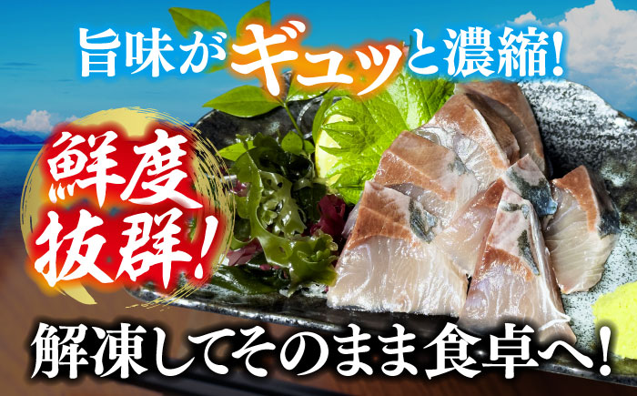 新鮮なお魚盛りだくさん！海鮮詰合せ「竹」 魚介類 海産物 海鮮 刺身 広島 ＜七宝丸＞江田島市 [XBY002] お肉・魚介
