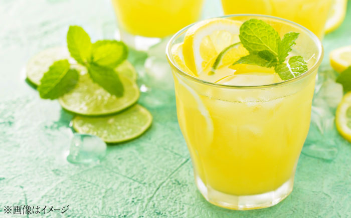 レモンシロップ 400ml×2個 レモン れもん 檸檬 フルーツ 果物 江田島市/七宝丸 [XBY011]
