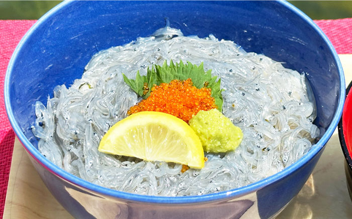生しらす 100g×3個 しらす シラス 冷凍 小分け 魚介類 海鮮 丼 広島県産 江田島市/七宝丸 [XBY013]