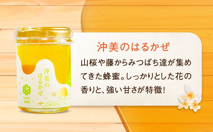 【全3回定期便】まじりっけなし！江田島産100％!はちみつ『沖美のはるかぜ』120g×6本セット ハチミツ ハニー 蜂蜜 国産 広島県 江田島市/はつはな果蜂園 [XCD015] 定期便