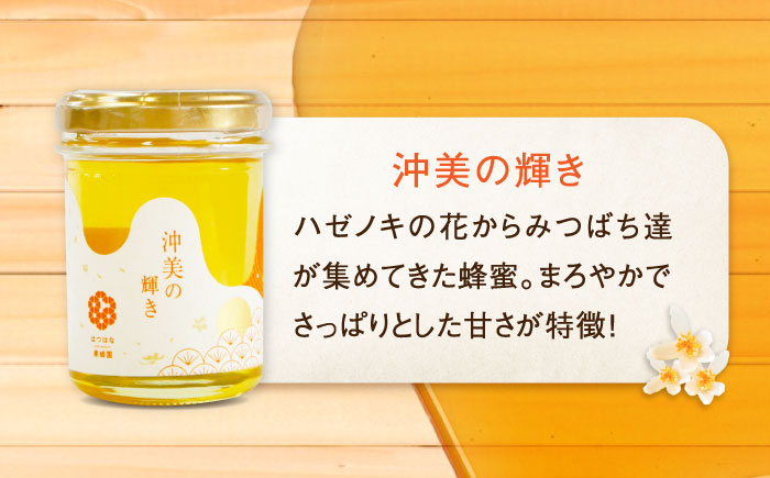 【全6回定期便】まじりっけなし！江田島産100％!はちみつ『沖美の輝き』120g×6本セット ハチミツ ハニー 蜂蜜 国産 広島県 江田島市/はつはな果蜂園 [XCD022] 定期便