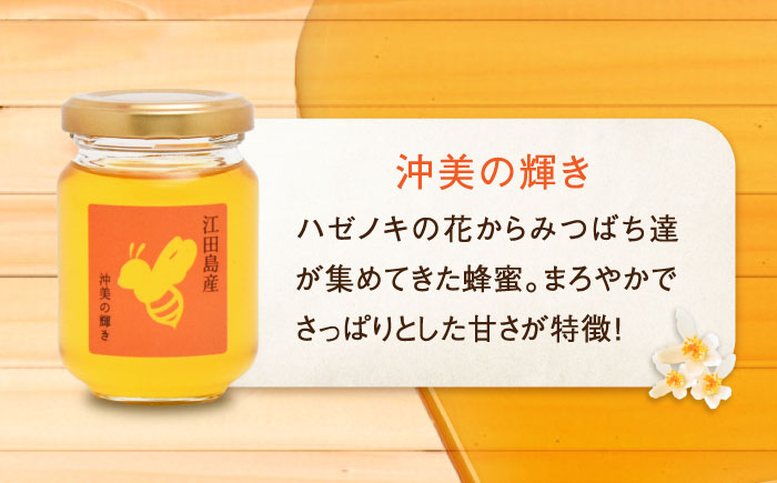 【全3回定期便】まじりっけなし！江田島産100％!はちみつ2種食べ比べセット（120g×3本） ハチミツ ハニー 蜂蜜 国産 広島県 江田島市/はつはな果蜂園 [XCD027] 定期便