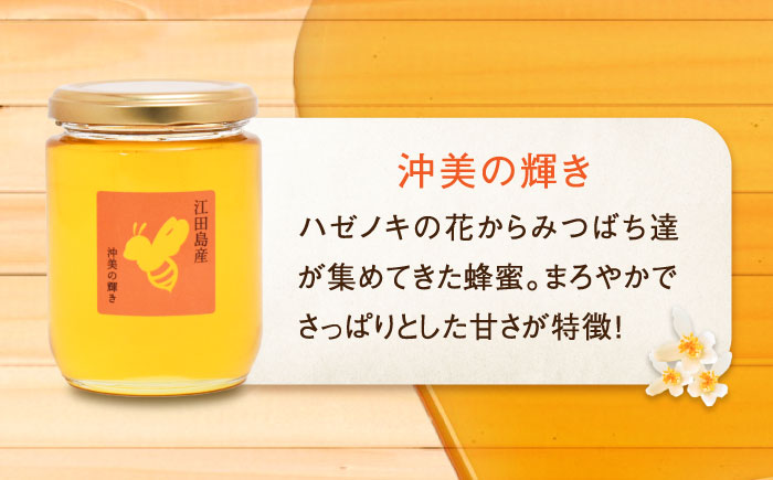 【全3回定期便】まじりっけなし！江田島産100％!はちみつ2種食べ比べセット（300g×2本） ハチミツ ハニー 蜂蜜 国産 広島県 江田島市/はつはな果蜂園 [XCD030] 定期便