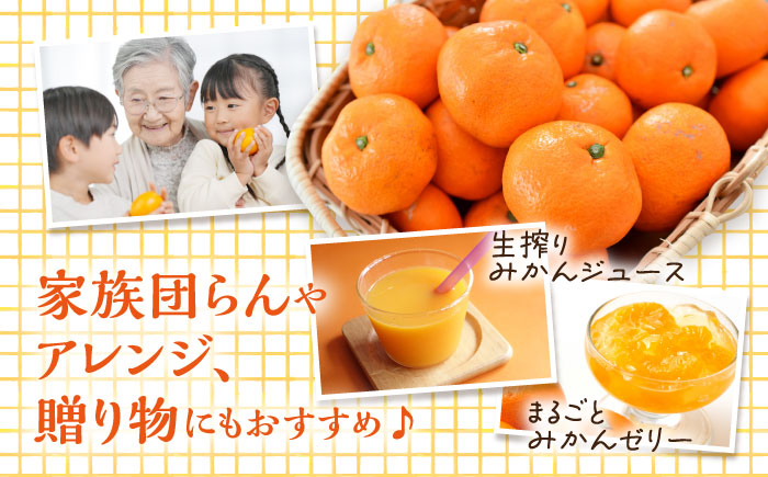 【瀬戸内の恵たっぷり】柑橘 みはや 5kg ＜小原農園＞江田島市 [XCE005] 野菜・果物