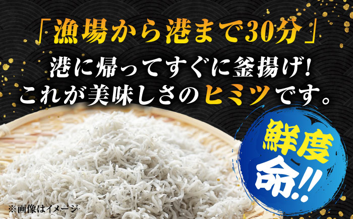 【全6回定期便】鮮度抜群＆水分率80％!ふわふわ釜揚げしらす 1kg 冷凍 シラス 鮮魚 ギフト 海鮮丼 広島県 江田島/三島水産株式会社 [XCN009] 定期便