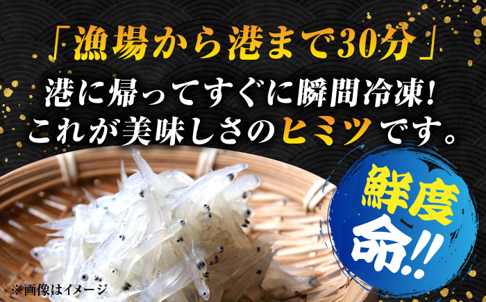 【全6回定期便】しらす 冷凍 シラス　小分け 干し 生しらすのプリッした食感と塩味が抜群！生しらす50g×42個 冷凍 シラス 鮮魚 ギフト 海鮮丼 広島県産 江田島市/三島水産株式会社 [XCN018] 定期便