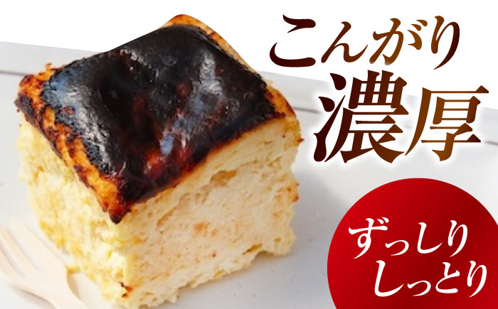 豆乳バスクチーズケーキ 6個 豆腐 豆乳 とうふ スイーツ お菓子 ケーキ 江田島市/徳永豆腐店 [XCQ001]