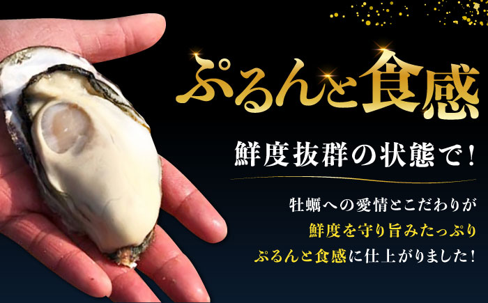 江田島ミルク牡蠣 殻付き 10個 加熱用 かき 広島県産 カキ 貝付き牡蠣 海鮮 贈呈用 BBQ 濃厚 新鮮 蒸し牡蠣 焼き牡蠣 グリル焼き 丸杉水産/江田島市 [XCY001]