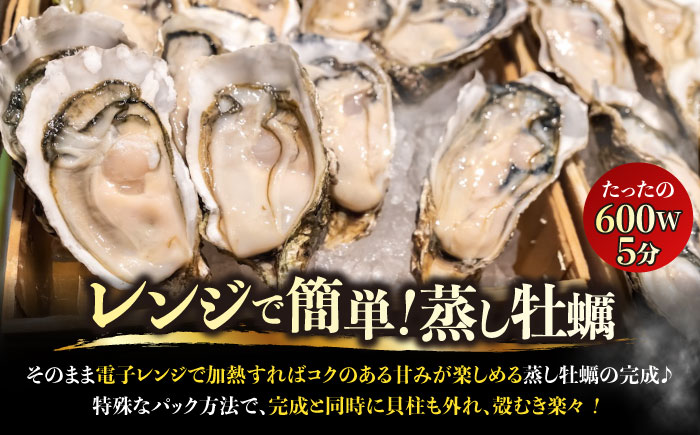 江田島ミルク牡蠣 真空パック 殻付カキ5個入り 5パック 人気 レンジ調理 簡単 レンジ 加熱用 かき 広島県産 カキ 貝付き牡蠣 海鮮 贈呈用 BBQ 濃厚 新鮮 蒸し牡蠣 丸杉水産/江田島市 [XCY007]