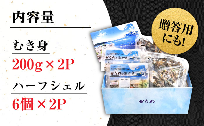 【年内発送】【お歳暮対象】広島牡蠣の老舗！安心・安全の新鮮牡蠣【生牡蠣】牡蠣 かき むき身 400gパック入り / 殻付き 開殻 ハーフシェルオイスター 12個入り 生食用 魚介類 海鮮 広島県産 江田島市/株式会社かなわ [XBP015] 牡蠣