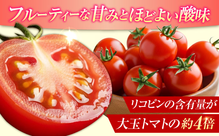 自然を活用した低農薬栽培！江田島ロマーノ トマト 2kg 江田島市/有限会社グリーンファーム沖美[XAB005] 野菜 果物