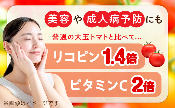 【全6回定期便】自然を活用した低農薬栽培！プレミアムトマトジュース 180mL×8本 江田島市/有限会社グリーンファーム沖美[XAB008] 定期便