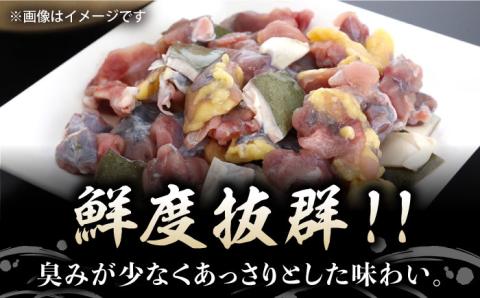 【全6回定期便】安心安全な国産の最高級食材！おうちですっぽん鍋 1人前 江田島市/平井興産株式会社[XAC012] 定期便