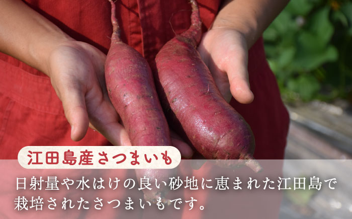 【全6回定期便】自分へのご褒美に！てくてくスイーツセット（ポテトパイ＆もみぢ饅頭）計15個 江田島市/峰商事 合同会社[XAD037] 定期便