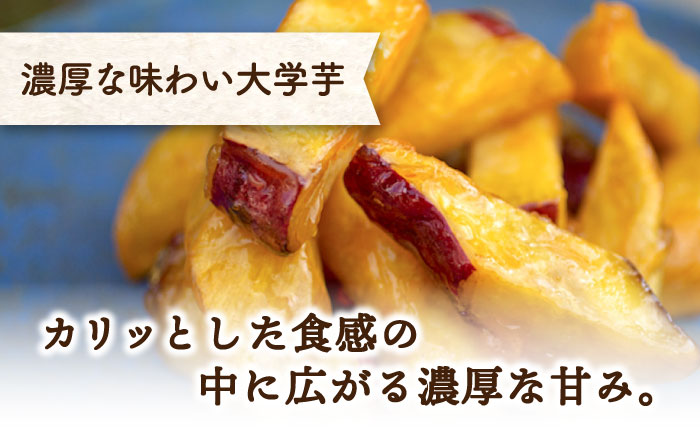 【全12回定期便】ねっとり濃厚！てくてくのさつまいもスイーツ たっぷり詰め合わせ さつまいも 江田島市/峰商事 合同会社[XAD044] 定期便