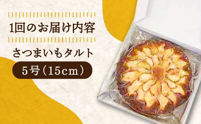 【全12回定期便】気づけばぺろり必至！てくてくのさつまいもたると ホール5号 江田島市/峰商事 合同会社[XAD069] 定期便