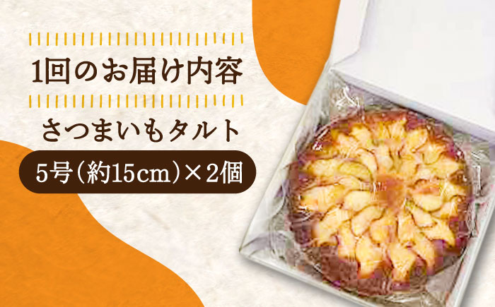 【全6回定期便】気づけばぺろり必至！てくてくのさつまいもたると ホール5号×2個セット 江田島市/峰商事 合同会社[XAD071] 定期便