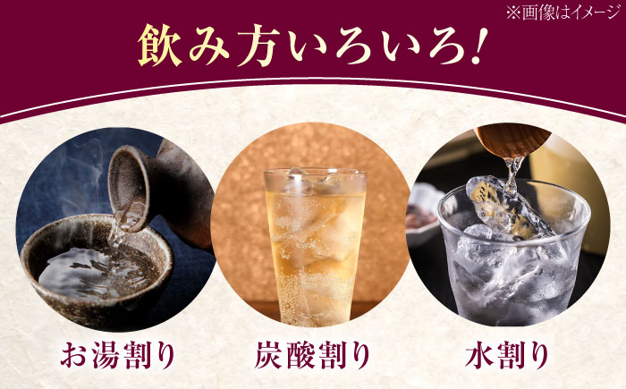 【全12回定期便】スイーツの香り！江田島の本格 芋焼酎 てくてく【安納芋】720ml×2本 さついまいも 人気 酒 食事 ギフト プレゼント 江田島市/峰商事 合同会社 [XAD081]