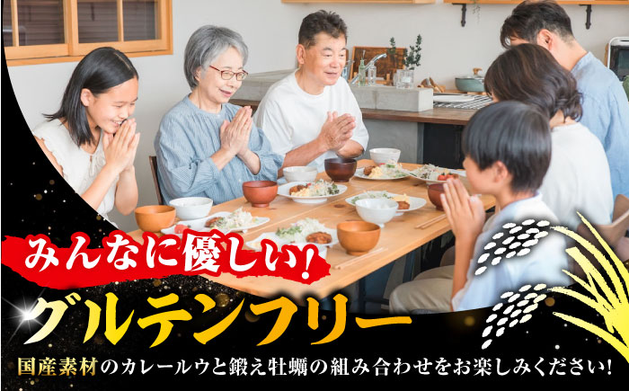 テレビで話題！『米粉の鍛え牡蠣カレー』180g×10個 牡蠣 かき カレー 中辛 グルテンフリー レトルト 保存食 簡単 広島県産 江田島市/有限会社寺本水産 [XAE061]