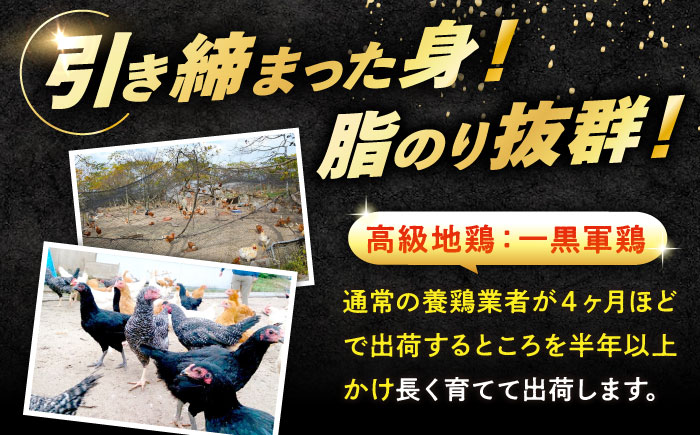 【全6回定期便】?【冷凍】 肉 小分け 冷凍 お肉 うまさが違う！ せとうち育ちの江田島産地鶏 一黒シャモ 一羽 パック 合計約1kg 鶏肉 肉 お肉 にく おにく グルメ ギフト 取り寄せ プレゼント 広島県産 江田島市/ポークアンドチキン江田島 [XAH009]