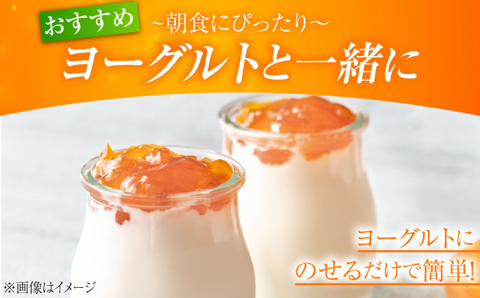 人気のお土産！リピート率ナンバーワン！中下農園の『ネーブルマーマレード』（箱入り・大2個）　みかん 果物 マーマレード ママレード ジャム パン 広島県産 江田島市/江田島市観光協会 [XAI006]