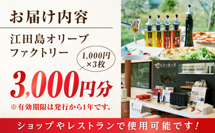 絶品オリーブオイルを江田島で！ 『江田島オリーブファクトリー』 商品券 3000円分（1000円分×3枚） オリーブオイル ドレッシング 食用油 ギフト 簡単 レシピ 国産 広島県産 江田島市/リベラグループ株式会社 [XAJ094] オリーブオイル