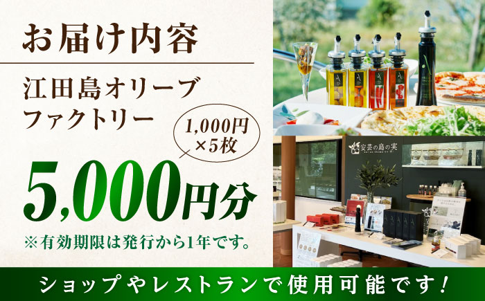 絶品オリーブオイルを江田島で！ 『江田島オリーブファクトリー』 商品券 5000円分（1000円分×5枚） オリーブオイル ドレッシング 食用油 ギフト 簡単 レシピ 国産 広島県産 江田島市/リベラグループ株式会社 [XAJ095] オリーブオイル