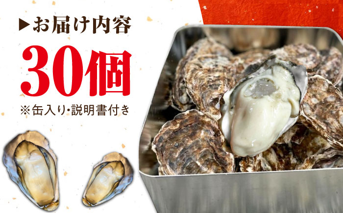 牡蠣 生食 殻付き かき カキ 簡単なのにぶちうまい！【生牡蠣】【訳あり】究極の漁師めし！かきうちの殻付き牡蠣ガンガン焼き カンカン焼き 30個 かき 海鮮 和食 海産物簡単 レシピ 広島県産 江田島市/株式会社かきうち [XBK019]
