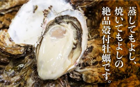 広島G7で提供された牡蠣！【全12回定期便】やながわ自慢！ 殻付き 牡蠣 16個(瞬間冷凍) 牡蠣 かき カキ 殻つき 瀬戸内 広島 ＜マルサ・やながわ水産有限会社＞江田島市[XBL014] 定期便