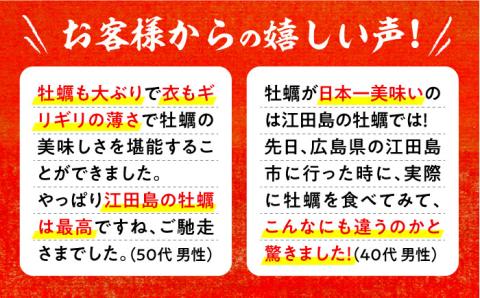 広島G7で提供された牡蠣！【全6回定期便】【広島県産】牡蠣屋さんが作ったこだわりの大粒 カキフライ 40個（瞬間冷凍） ＜マルサ・やながわ水産有限会社＞江田島市[XBL019] 定期便