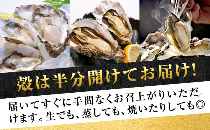 広島牡蠣の老舗！安心・安全の新鮮牡蠣【生牡蠣】牡蠣 かき 殻付き 開殻 夏のかき ハーフシェル『かき小町』12個入 生食用 魚介類 海鮮 広島県産 江田島市/株式会社かなわ [XBP013] 牡蠣