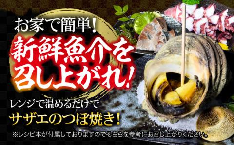 新鮮なお魚盛りだくさん！海鮮詰合せ「梅」 魚介類 海産物 海鮮 刺身 広島 ＜七宝丸＞江田島市 [XBY001] お肉・魚介