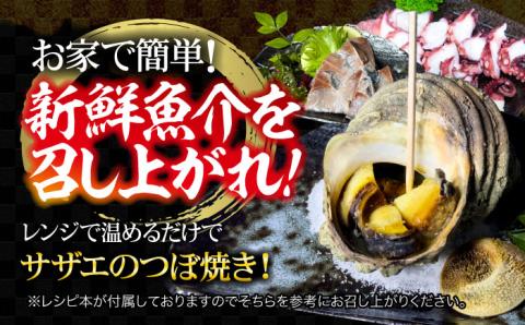 新鮮なお魚盛りだくさん！海鮮詰合せ「竹」 魚介類 海産物 海鮮 刺身 広島 ＜七宝丸＞江田島市 [XBY002] お肉・魚介