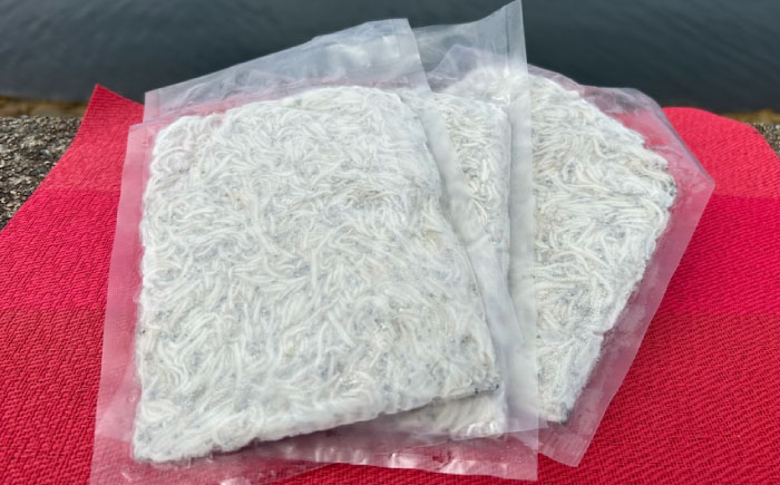 生しらす 100g×3個 しらす シラス 冷凍 小分け 魚介類 海鮮 丼 広島県産 江田島市/七宝丸 [XBY013]