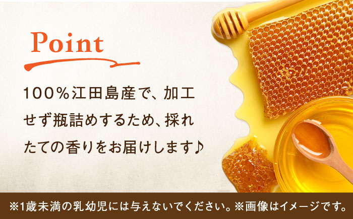 【全6回定期便】まじりっけなし！江田島産100％!はちみつ『沖美の輝き』300g×2本 ハチミツ ハニー 蜂蜜 国産 広島 江田島市/はつはな果蜂園 [XCD025] 定期便