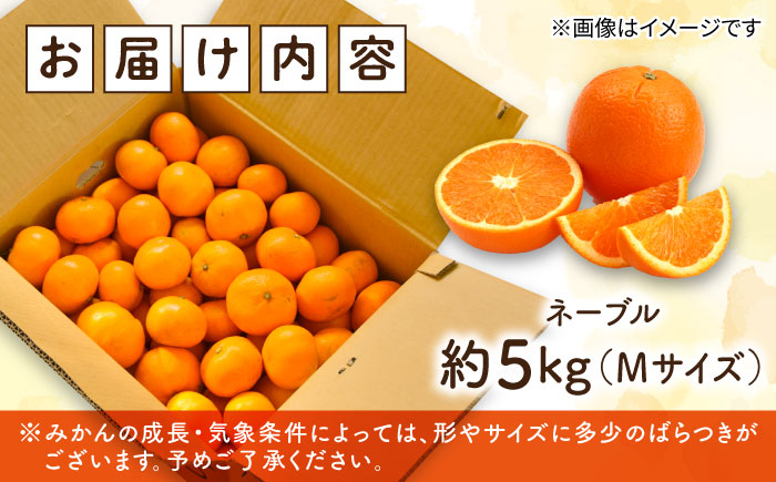 【瀬戸内の恵たっぷり】ネーブル 5kg 柑橘 ＜小原農園＞江田島市 [XCE003] 野菜・果物