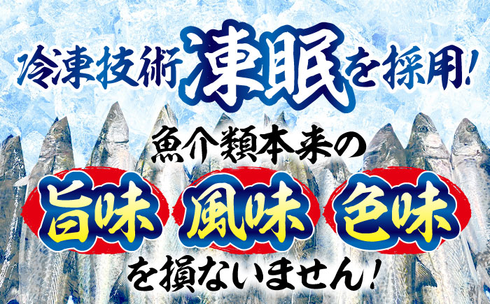 【ふっくら香ばしい】鰆の炙り満腹セット＜秋宝丸＞江田島市 [XCK003] お肉・魚介