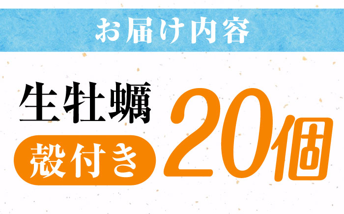 高品質の牡蠣を産地直送！ 【生牡蠣】【着日指定可能】『てつまるかき』牡蠣 殻付き 20個 加熱用 かき 海鮮 海産物 簡単 広島県産 江田島市/有限会社テツマル海産 [XCO006]